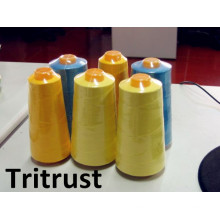 Spun Polyester Sewing Thread (20/2-60/2 Class Polyester Fibre)